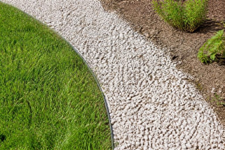 découvrez comment le gravier décoratif peut limiter efficacement la pousse des mauvaises herbes, tout en embellissant vos projets de décoration extérieure.