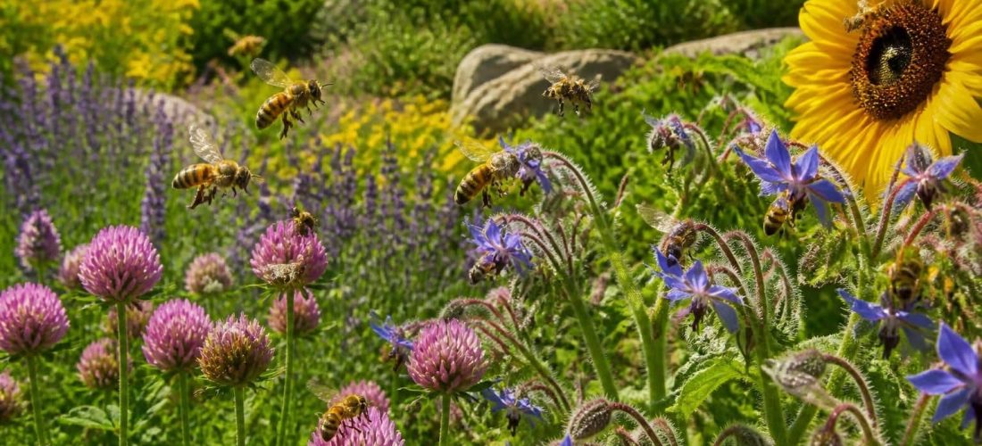 découvrez comment les plantes mellifères favorisent l'attraction des abeilles butineuses pour optimiser la biodiversité et la santé de votre jardin.