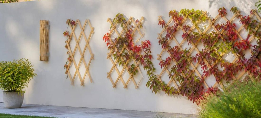 découvrez comment le treillage extensible facilite le guidage de la vigne vierge, idéal pour structurer et embellir votre jardin avec élégance et praticité.